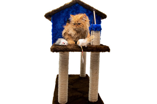 Casinha de Gato com Arranhador Sustentável Luppet Azul e Marrom